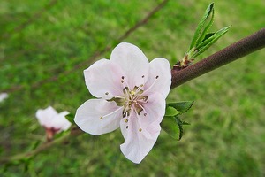 我中槍了！12星座【最想刪除】的記憶