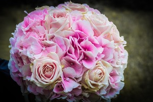 百變巫女2017年十二星座運勢詳解