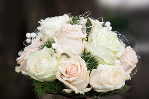 海百合每日星語 | 0112雙子座上傳下達；巨蟹座需保持冷靜