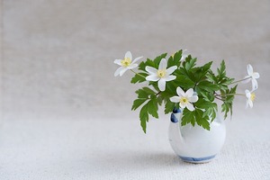 2.4日星座運勢預報，巨蟹遇到貴人，獅子博得歡心