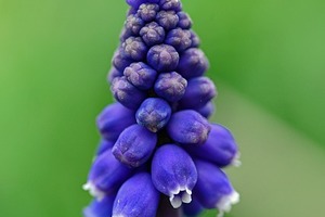 12星座各自心裡話：水瓶其實感性，天蠍很重感情