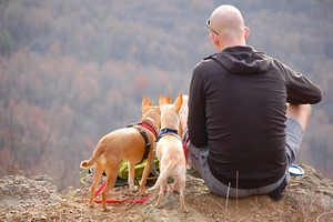 你到底愛哪個？最容易陷入三角戀的星座男
