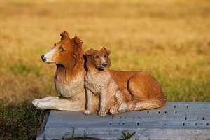 12星座不能說的秘密：摩羯四個模樣，雙子特立獨行