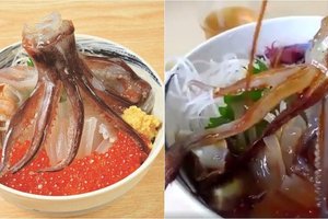 他在日本點「章魚蓋飯」沒想到一淋醬油就出現讓網友嚇到吐的畫面...：沒食慾了