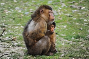 十二星座哪些讓人抓狂的病，你敢說你沒中招？