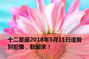 十二星座2018年5月11日運勢：別犯懶，動起來！