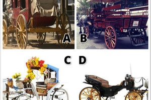 心理學：你願意坐哪一輛馬車？測試一下你會和誰過一生