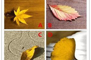 心理測試：選一張你喜歡的樹葉，看看你下個月有什麼好事 