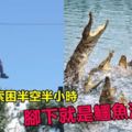 美國父子玩滑索困半空半小時　呆望下方鱷魚池待救