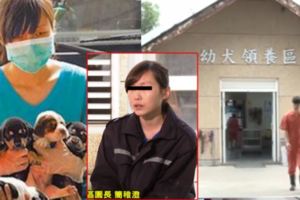 美女獸醫自殺內幕曝光！這群「動保流氓」對她做的「超惡毒行為」，才是逼她走上絕路的最後一根稻草！太可惡了！