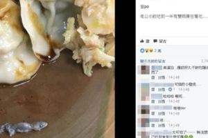 他吃水餃「一雙眼睛瞪著他」結果翻開水餃看到「四隻腳光滑黏膩的...」讓網友嚇到頭皮發麻！