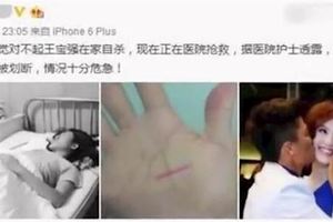 宋喆全部責任推給馬蓉，馬蓉一家齊力討宋喆！馬蓉割斷生命線自殺！