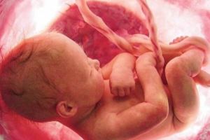 少女墮胎「孩子的頭被醫生夾斷」身體還在蠕動！護理師曝光婦產科惡夢：「還有更慘的」！