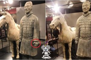 悲劇！兵馬俑借美國展覽竟「拇指被偷」中國要究責求償怒嗆：看看美國國民的素質！