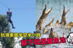 美國父子玩滑索困半空半小時　呆望下方鱷魚池待救