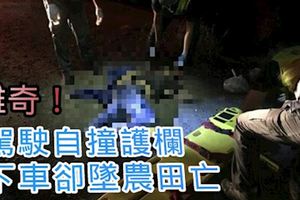 離奇！駕駛自撞護欄　下車卻墜農田亡