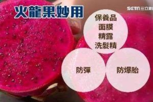 「火龍果」竟能補胎！子彈射穿秒填補