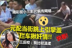 (有視頻看）元配當街跳上引擎蓋攔車揪姦情!!元配當街跳上引擎蓋攔車揪姦情!!