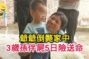 爺爺倒斃家中3歲孫伴屍5日險送命