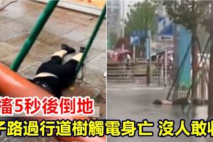 抽搐5秒後倒地男子路過行道樹觸電身亡沒人敢收屍