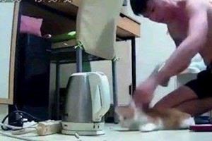 男狠摔貓咪活活虐死網友氣炸肉搜