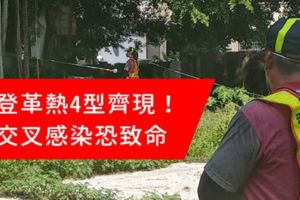 登革熱4型齊現！交叉感染恐致命