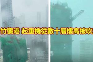 山竹襲港起重機從數十層樓高被吹落