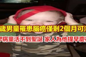2歲男童罹患腦癌罕病童活不到聖誕家人為他提早慶祝