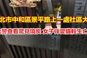 火警查看驚見燒炭女子伴愛貓輕生亡