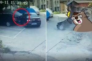 史上最差停車技術！「驚天地毀滅力」三寶倒車ING…結局不意外網笑：停車位成功get(影)