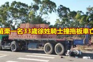 騎士撞拖板車亡目擊者供詞不一