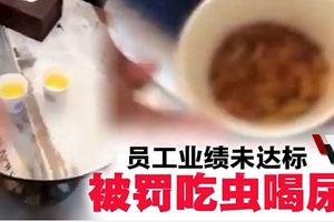 懲罰業績未達標·中國公司迫員工吃蟲喝尿（內附視頻）