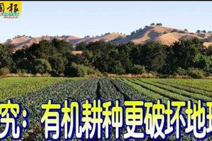 研究：有機耕種更破壞地球