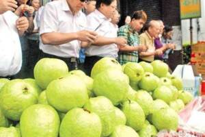 台灣水果外銷慘淪越南墊檔貨？原因超瞎也超悲催