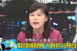 離大選8個月表態率9成　游淑惠分析這民調「有政治目的」