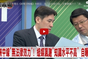 「自由航行」狂剿謝龍介！挺綠打手護主不顧法理？