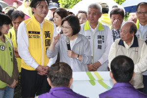 大綠小綠難再合作？　綠營2020立委陷提名危機