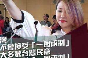 中市「綠營神力女超人」賴佳微 批賴清德民進黨之恥
