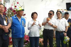 盧秀燕：藍軍在求勝 綠營好像把最能贏的人幹掉