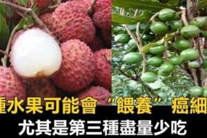 3種水果可能會「餵養」癌細胞，第三個儘量少吃，容易上癮很難戒！