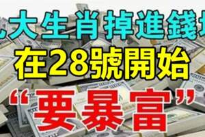 在28號開始要暴富，九大生肖掉進錢堆