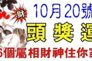 10月20號開始有頭獎運，六個屬相財神住你家