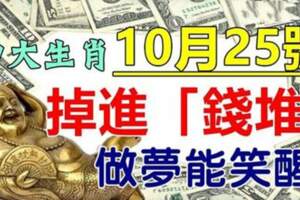 10月25號掉進「錢堆」的生肖，財多事順，做夢能笑醒