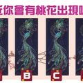 【孔雀桃花占卜】最近你會有桃花出現嗎?