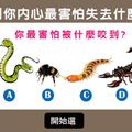 【準準的】測你內心最害怕失去的是什麼?