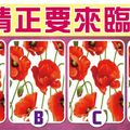 春季愛情限定【罌粟花牌占卜】愛情正要來臨嗎?