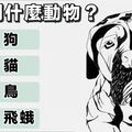 你看見什麼動物？測！你這個人屬於「理性」還是「感性」？