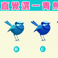 【幸福青鳥占卜】最近一個月你會桃花滿天飛嗎？