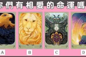 【超準萬物塔羅】你們有相愛的命運嗎？