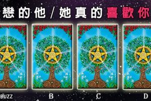 【愛情樹塔羅】 暗戀的他/她真的喜歡你嗎？